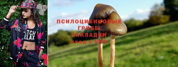 спиды Дмитровск