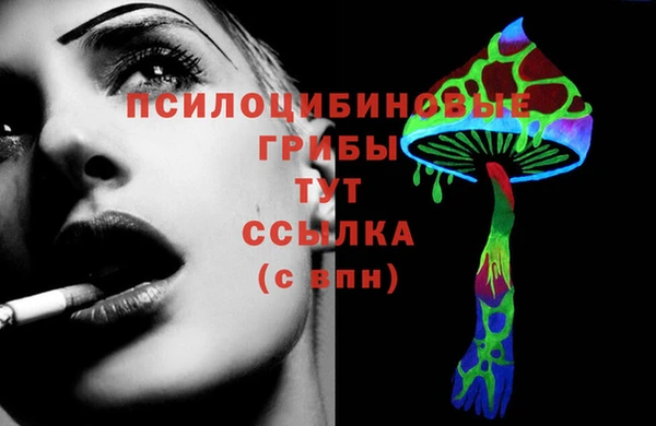 спиды Дмитровск