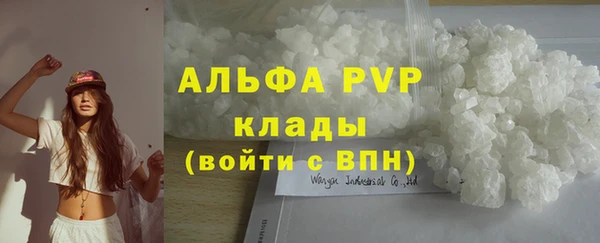стафф Дмитров