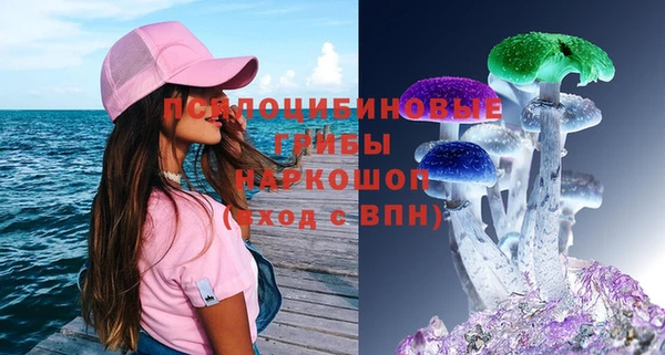 спиды Дмитровск