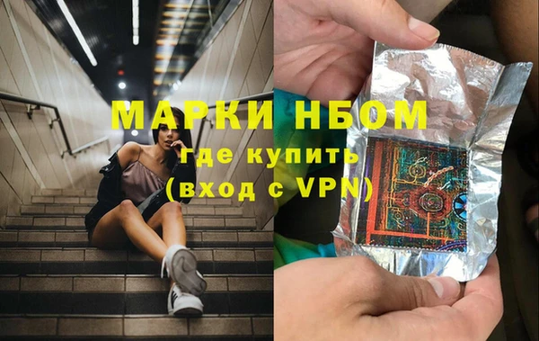 стафф Дмитров