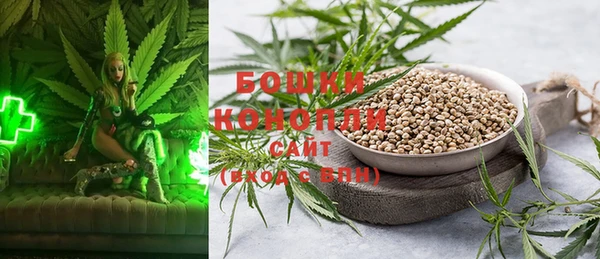 стафф Дмитров